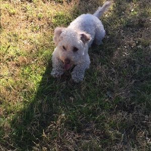 Meet your Posher, Laura